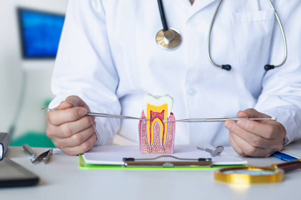 Best Emergency Treatment for Dental Infections or Abscesses in Shell Point, SC
